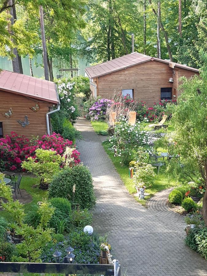 Monikas Gästehäuser Seeblick Himmelpfort Exterior foto